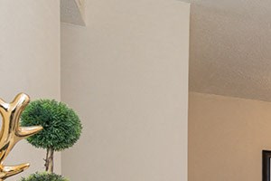 Spacious living room and dining area
